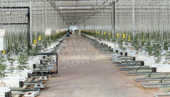 什么是栽培槽？解鎖現代無土栽培的核心設施